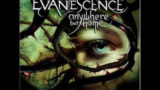 Evanescence - Everybody&#39;s Fool [Live]