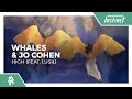 Whales & Jo Cohen - High (feat. Lusil) [Monstercat Release]