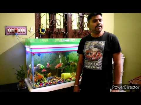 Prepare Icecream with simple ingredients at home