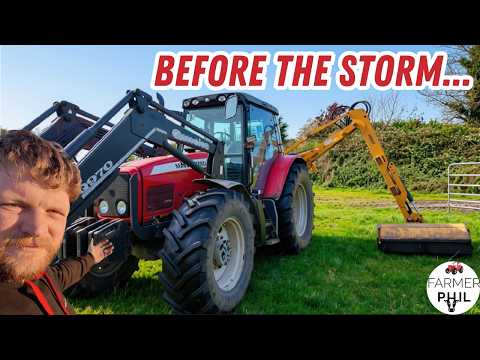 Hedgecutting Before The STORM! Then Feeding The Bulls