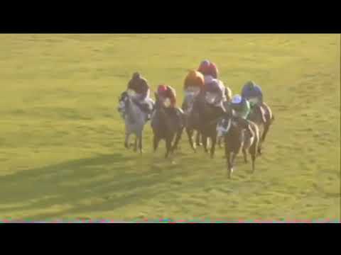 2009 boylesports.com International Hurdle