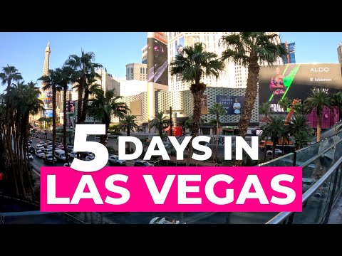 Ultimate 5 Day Las Vegas Family Itinerary - Best Kid Friendly Attractions