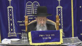 שואלין ודורשין בהלכות הפסח קודם הפסח שלושים יום אדר ב תשפד