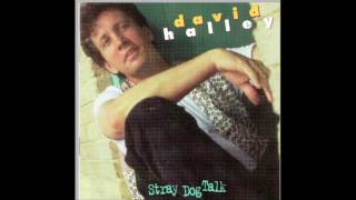 David Halley "Rain Just Falls"