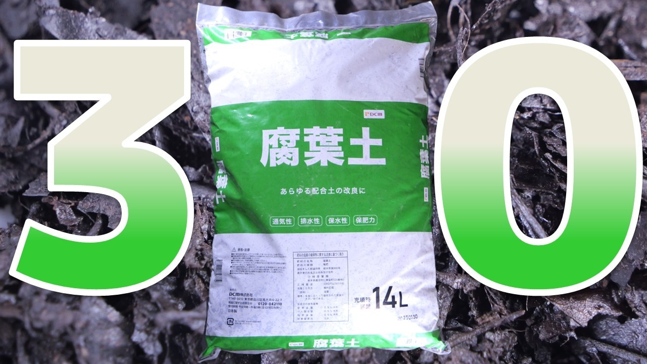 【園芸用腐葉土】今年からDCMで積み上がっている緑色のパッケージはCN比が完璧で高品質！その辺の落ち葉で作れるのに敢えてプロの商品を導入する理由とは？DCM 小林産業の腐葉土【ふぶきテトラ】
