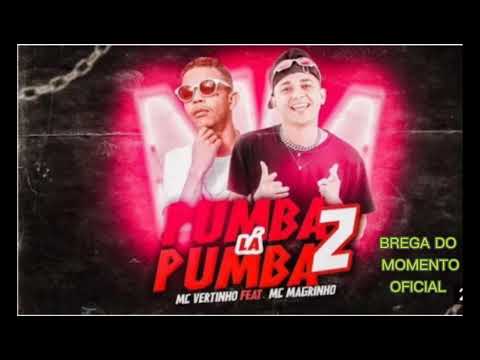 🔔MC VERTINHO FEAT. MC MAGRINHO - PUMBA LÁ PUMBA 2