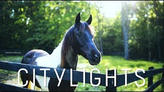 Citylights | summer 2017