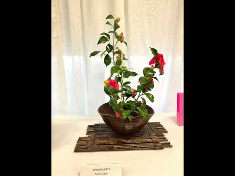 Seattle Cherry Blossom & Japanese Culture Festival 2023