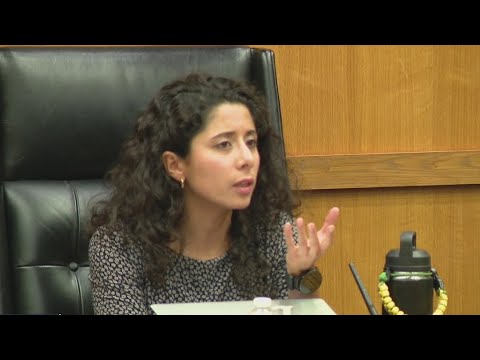 Harris County Judge Lina Hidalgo booed by law enforcement during Commissioners Court meeting