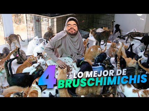 LO MEJOR DE LOS BRUSCHIMICHIS 4 - PABLO BRUSCHI