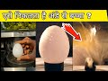 अंडे को Microwave में डालते हैं तो मुर्गी का �