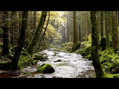 Tales of The Hunger Games: The 99th games - Part Two