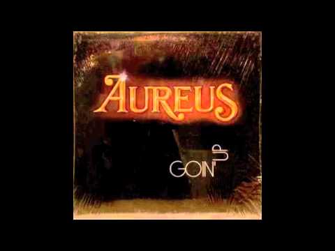 Aureus / Reflection of My Life