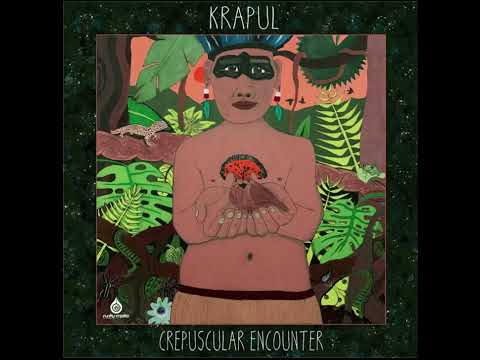 Metaphyz & Krapul — Mad Fauna Orchestra