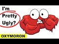 Learn English Words - OXYMORON - Meaning, Vocabulary Lesson with Pictures and Examples