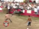 Picnic & Tourada - Bull Runs (2)