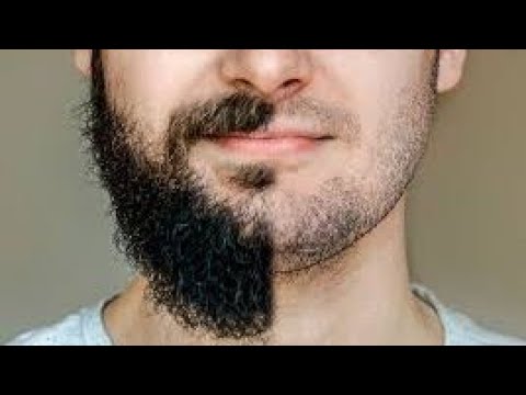 LA BARBA, Y LA SANA DOCTRINA.