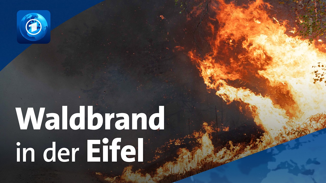 Feuer in der Eifel: Flammen fressen sich durch 15 Hektar Wald