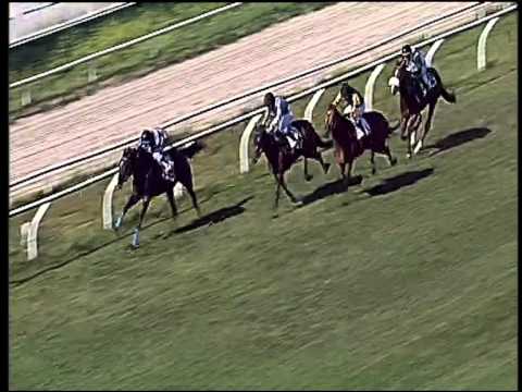 Galoppo 25/05/2015 - 3° corsa