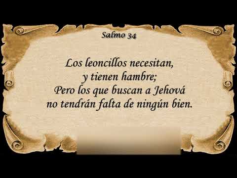 Salmo 34   La protección divina Con Letra