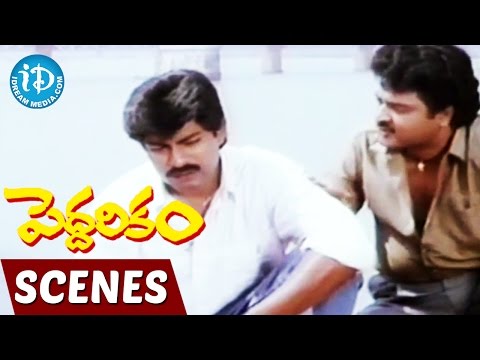 Peddarikam Movie Scenes - Jagapati Babu Trying To Convince His Brothers - Bhanumathi