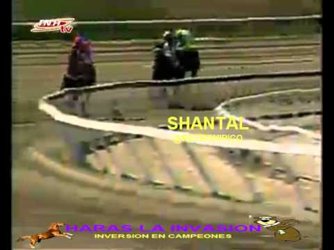 LA RINCONADA 3 CARRERA, DOMINGO 22 DE FEBRERO DEL 2015