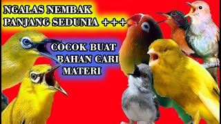 Download lagu MASTERAN PLECI NGALAS NEMBAK TERPANJANG SEDUNIA... (VARIASI TEMBAKAN ) PAS BUAT LATIH BAHAN mp3 Download lagu MASTERAN PLECI NGALAS NEMBAK TERPANJANG SEDUNIA... (VARIASI TEMBAKAN ) PAS BUAT LATIH BAHAN mp3