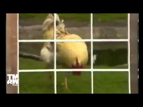 Digitalism vs. Tommy Trash - Falling (Official Video)