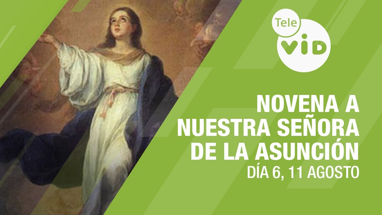 Novena a Nuestra Señora de la Asunción Día 6 📿🙏 11 de Agosto 2025 | Tele VID