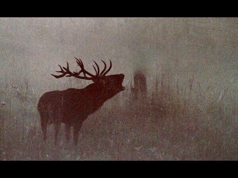 Hirschjagd im Gebirge