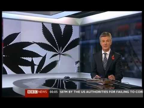 Political drug policy VS actual science (Professor David Nutt)