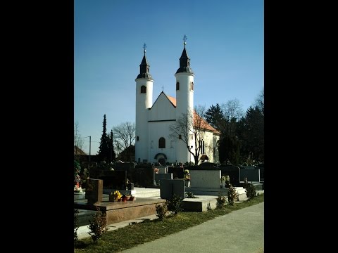 Župna crkva Uznesenja Marijinog i sv. Vida, Brezovica, Zagreb