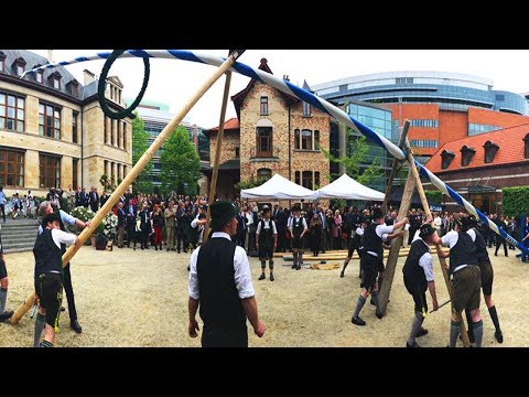 Die "Maibaum-Task-Force" - Bayrischer "Brauchtumsexport" nach Brüssel