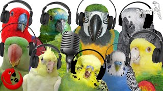 From Simple la la la to Opera Arias Singing Participants in the Polish Championship of Talking Birds