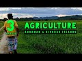 Agriculture Andaman Nicobar Islands Travel Tips During Pandemic Episode 3