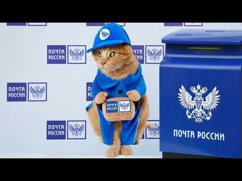 Имейте терпение! ➤ Кошка Чечня БлоХер