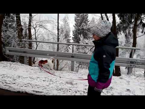 EXPERYMENT - DALEKA DROGA (muz. Patr00) (video)