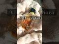 Perfume Collection Perfume Shorts