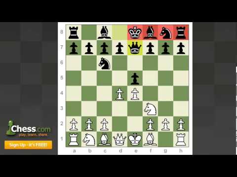 Sweet Chess Games: Member Analysis Minis!