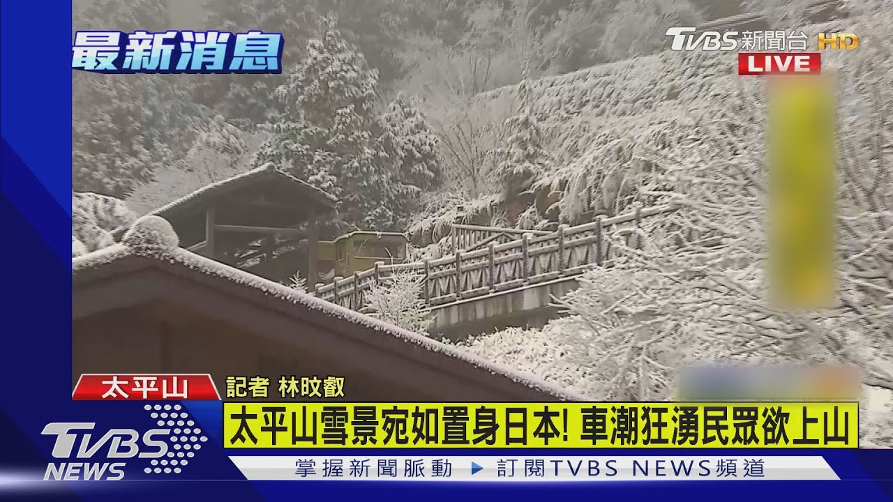 宛如置身日本!太平山一夜白頭美景曝 遊客驚呼:超值得