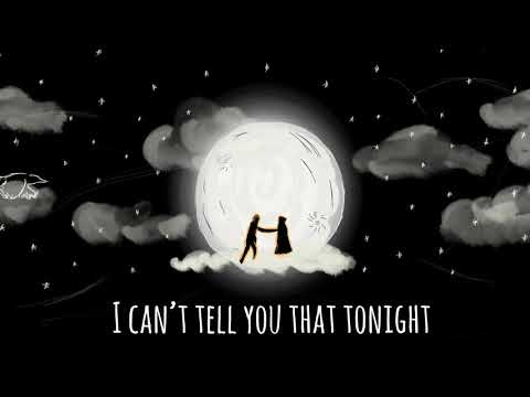 Dance With Me Again - Nik and Sam (Lyric Video)