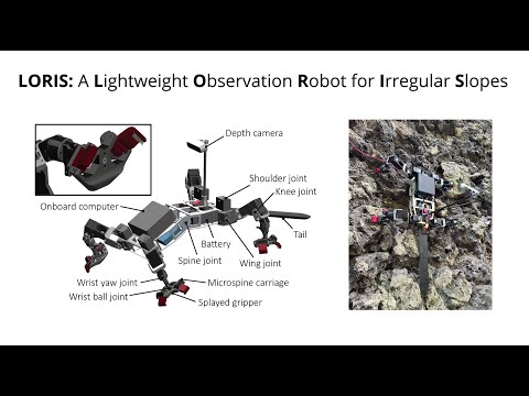 Passive gripper: robotic lizard climbs rough, vertical surfaces