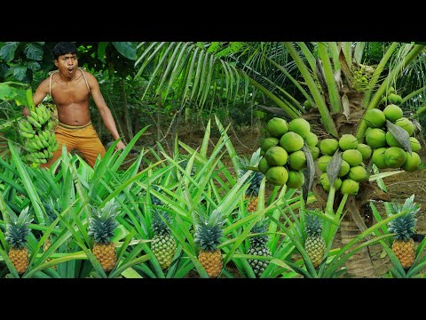 find fruit for food - Richt fruit in forest -