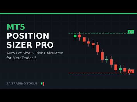 Video Auto Position Sizer Pro