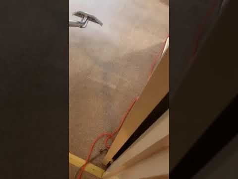 JCU Cleaning video.