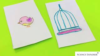 Bird In A Cage Optical Illusion | Easy Science Experiment To Do at Home!