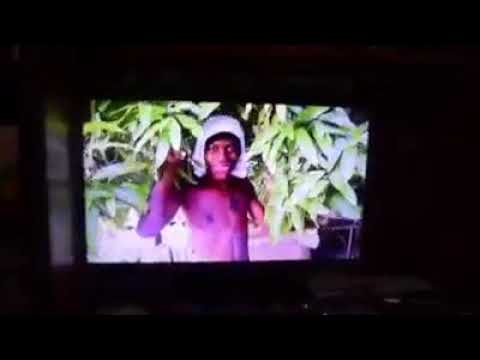 Prince pine ugly gyol back words