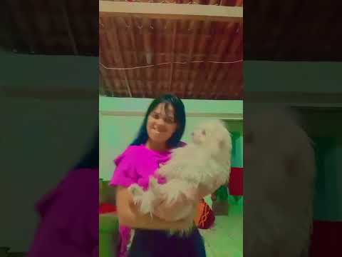 #DreamTrackAI olha aqui a Moniquinha de 25 anos de Catunda Ceará eu aqui mostrando minha cachorra