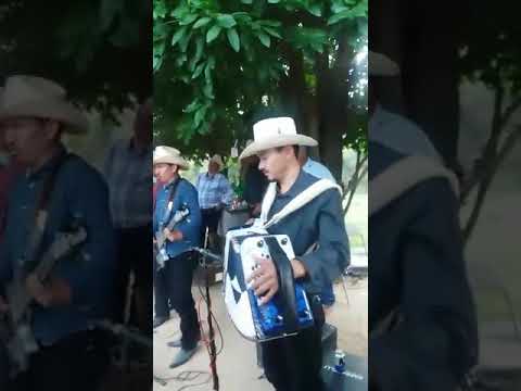 Desde el potrero de cancio  para vari pellegaud