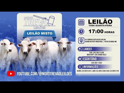 ⭐ 294º LEILÃO MISTO - NOVO TREVÃO LEILÕES EM PATOS DE MINAS/MG - 11/03/2026 ⭐